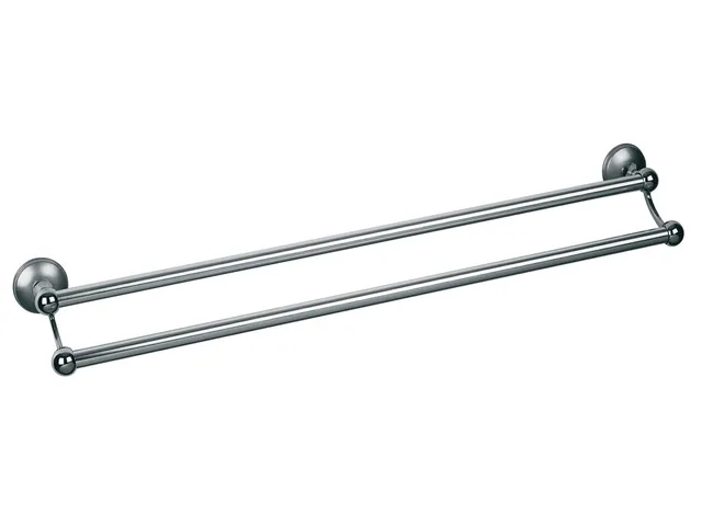 bisk-dakota-double-barre-fixe-610-barre-appui-wc-61-cm image 1