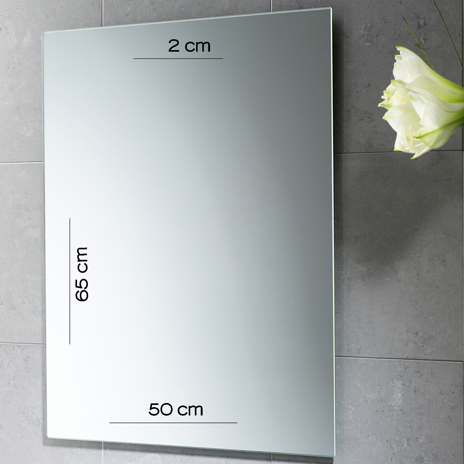 gedy-dakota-miroir-50x65-cm-bord-poli-incolore image 2