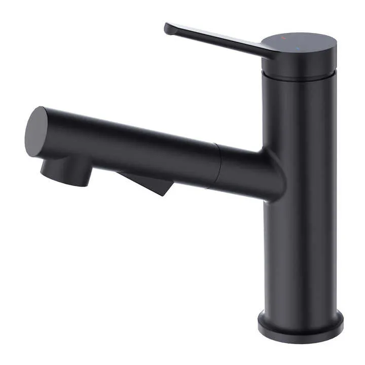 hudor-c-phise-robinet-lavabo-noir-mat-douchette-laiton image 1