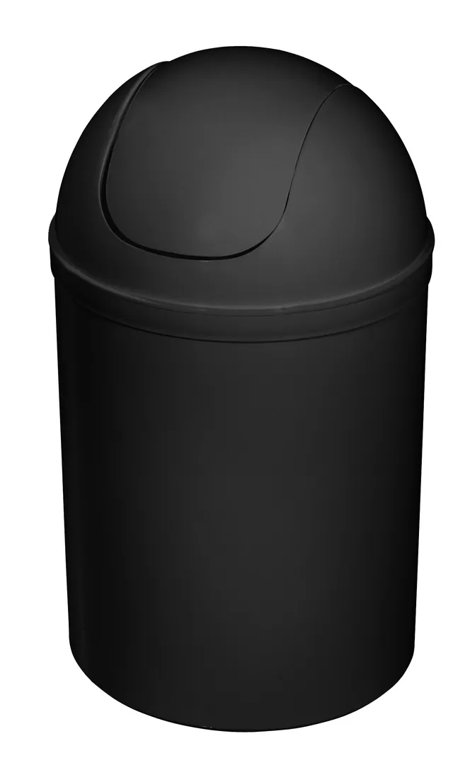 bisk-poubelle-5-litres-salle-de-bain-5-l image 1