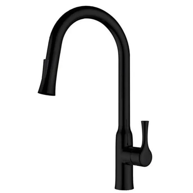 hudor-c-phise-k1812500-robinet-cuisine-noir-mat-douchette image 1