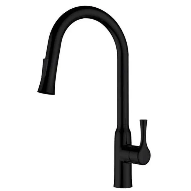 hudor-c-phise-k1812500-robinet-cuisine-noir-mat-douchette image 1