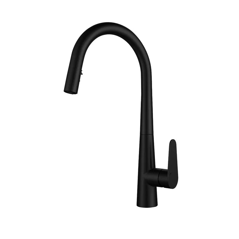 hudor-moderna-nb0006-mitigeur-cuisine-noir-mat-douchette image 2
