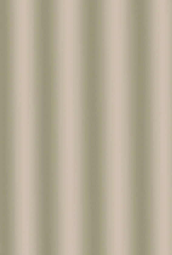 bisk-uni-rideau-de-douche-peva-uni image 1